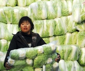 &#31859;&#20848;&#23448;&#26041;&#32593;&#39029;&#29256;&#45;&#31859;&#20848;&#40;&#20013;&#22269;&#41;
